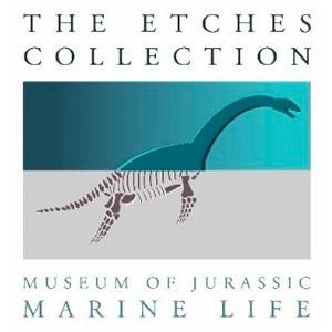 Museum Of Jurassic Marine Life (The Etches Collection) logo